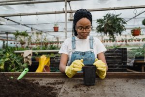 planting-chatsandbanter